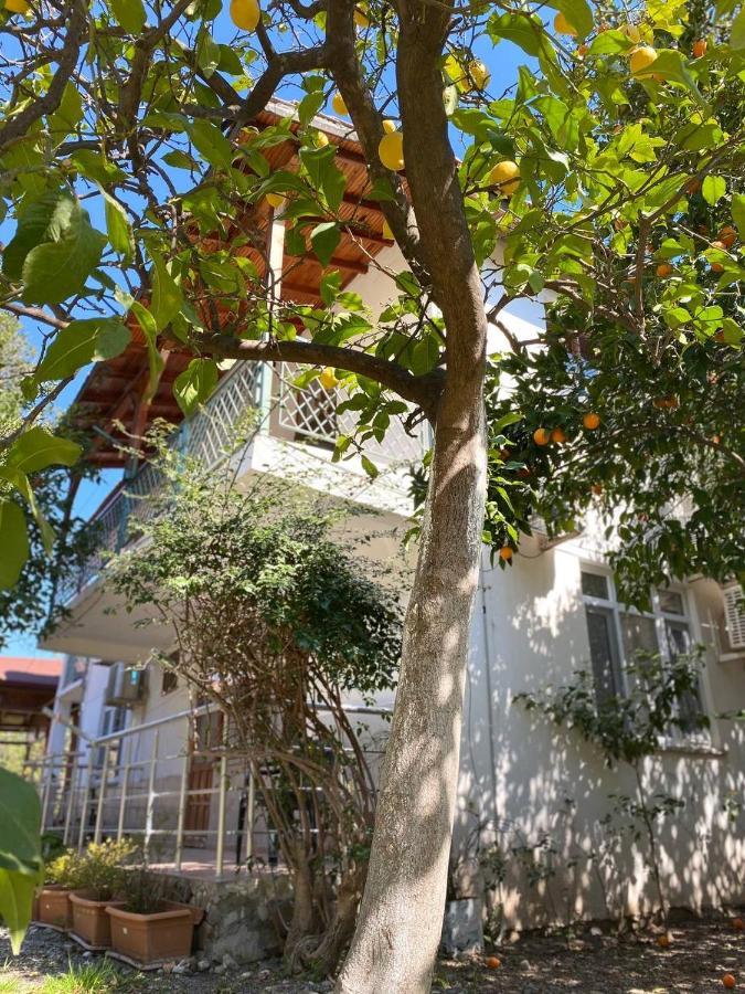 Cirali Irmak Hotel ภายนอก รูปภาพ
